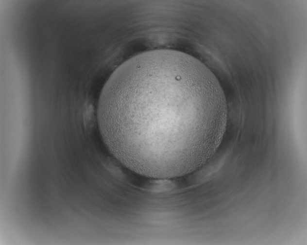 X0000111940087200908101211