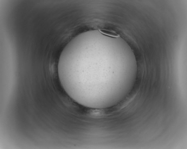 X0000111940088200908101211