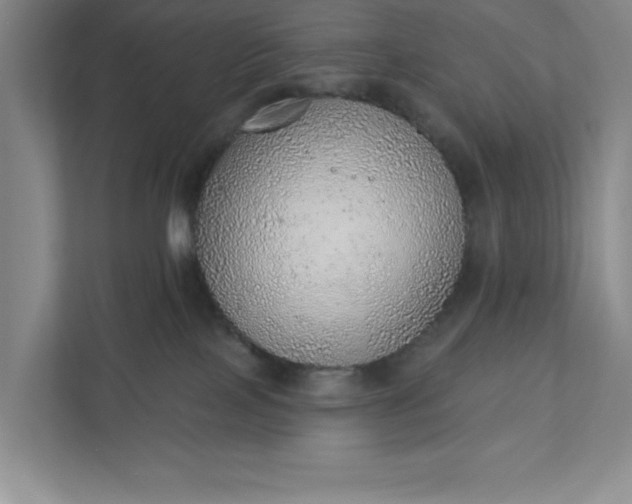 X0000111940089200908101211