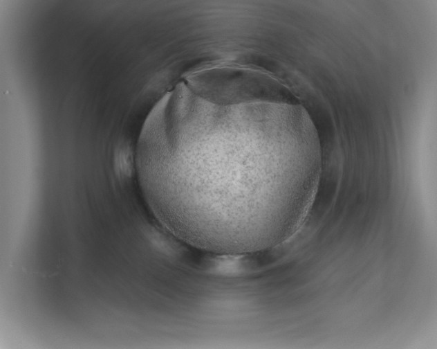 X0000111940090200908101211