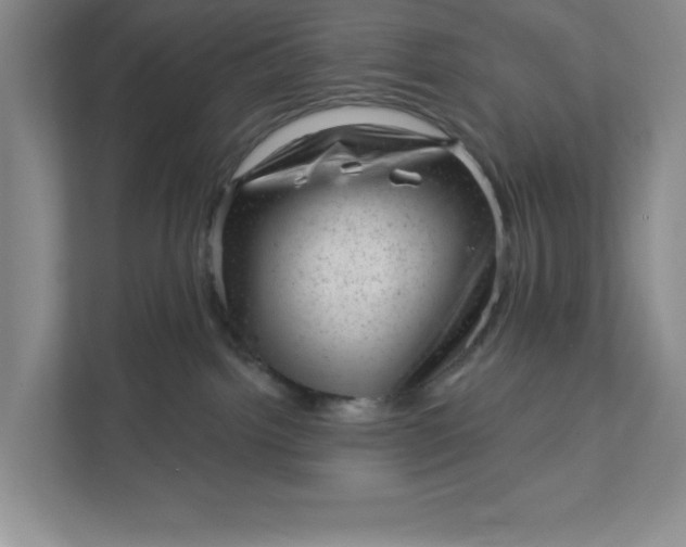 X0000111940092200908101211