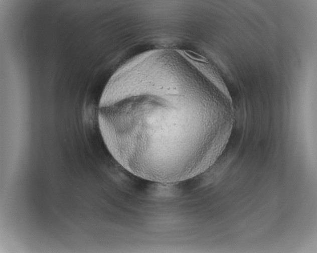 X0000111940093200908101211