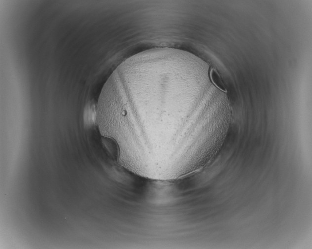 X0000111940095200908101211