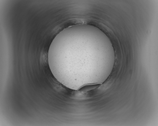 X0000111940096200908101211