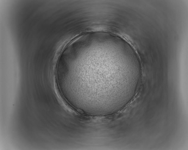 X0000111940097200908101210