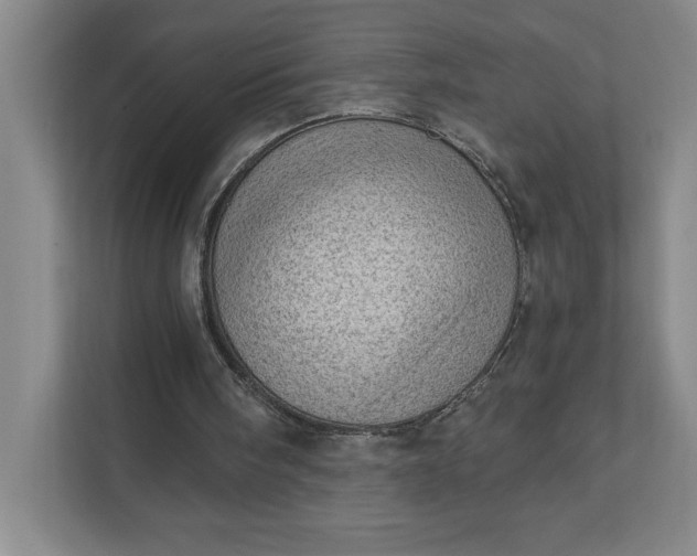 X0000111940098200908101210