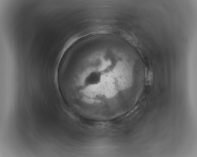 X0000111940099200908101210