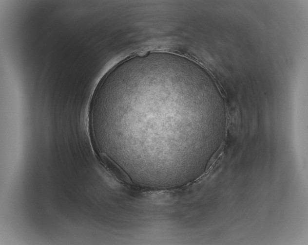 X0000111940100200908101210