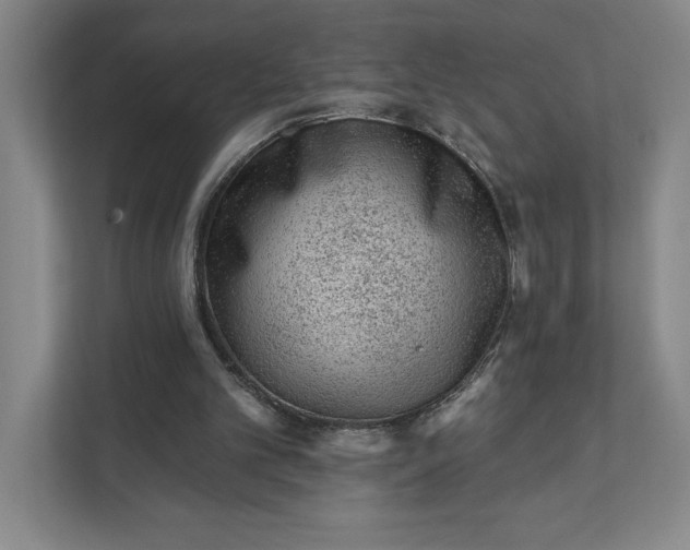 X0000111940101200908101210