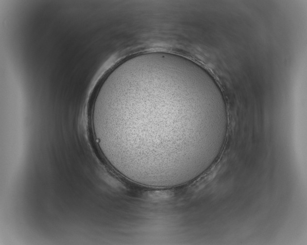 X0000111940102200908101210