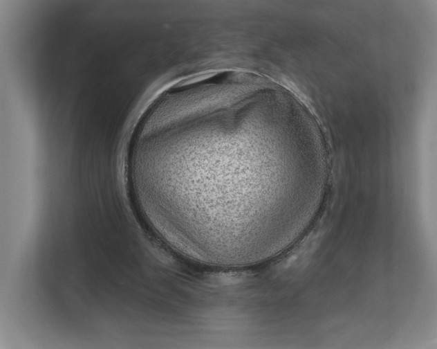 X0000111940103200908101210