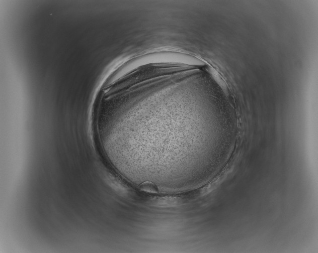 X0000111940104200908101210