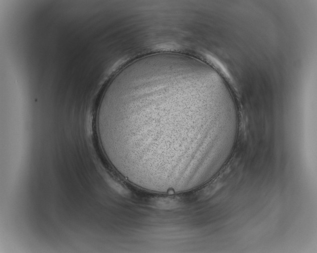 X0000111940106200908101210