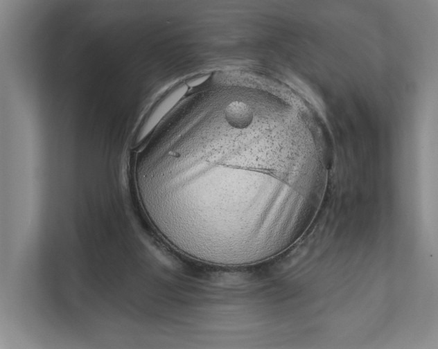 X0000111940107200908101210