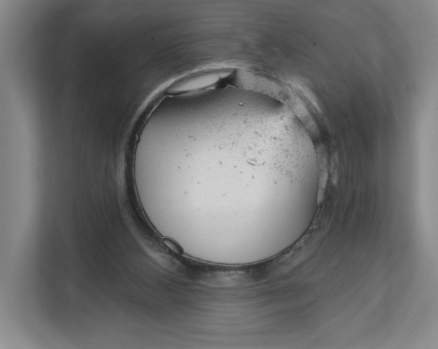 X0000111940108200908101210