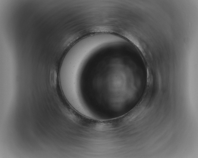 X0000111940109200908101210