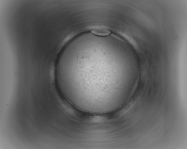 X0000111940111200908101210