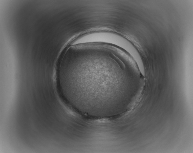 X0000111940112200908101210