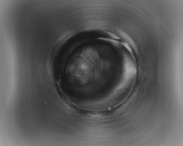 X0000111940113200908101210