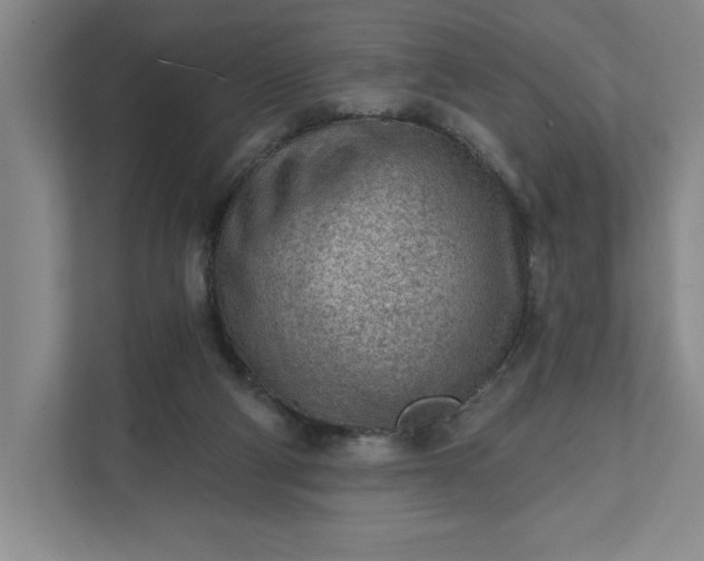 X0000111940114200908101210