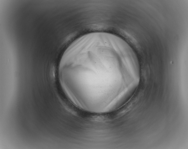 X0000111940115200908101210