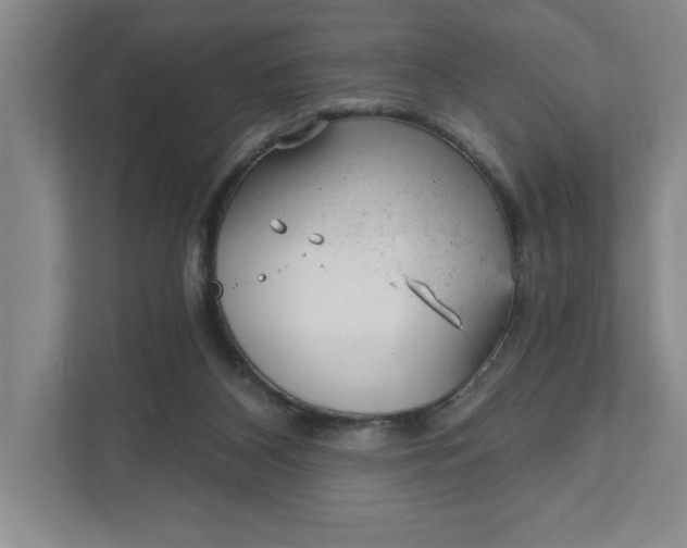 X0000111940116200908101210