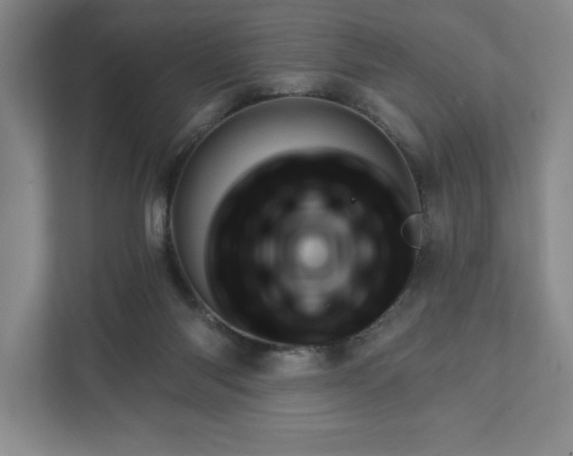 X0000111940118200908101210