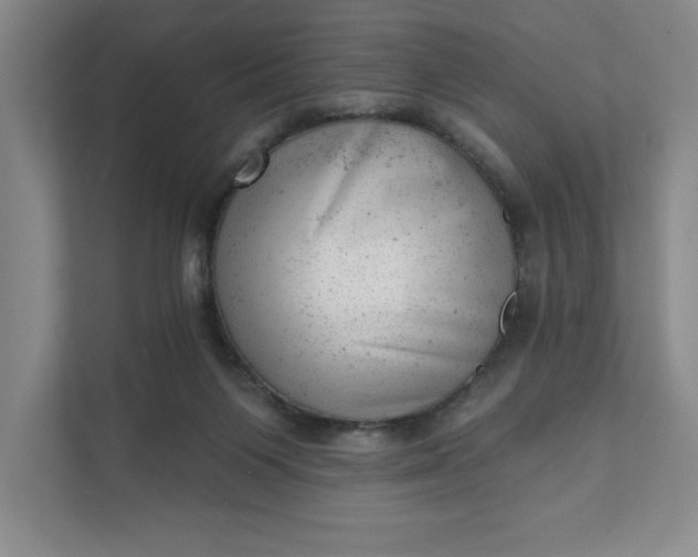 X0000111940119200908101210