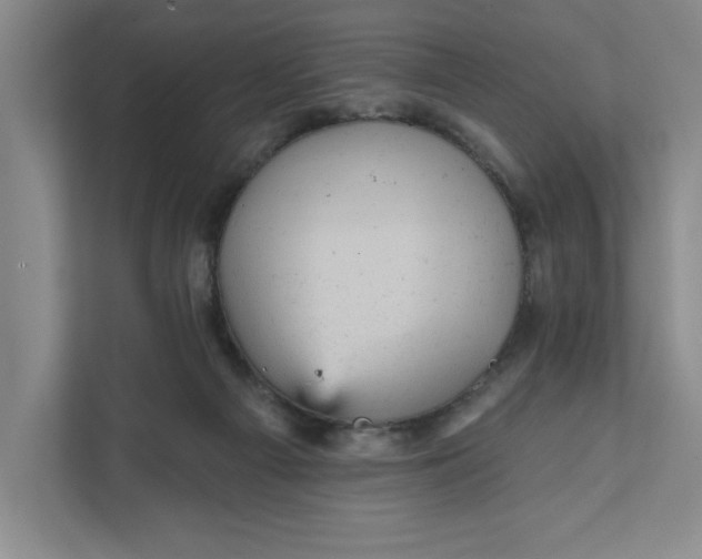 X0000111940121200908101210