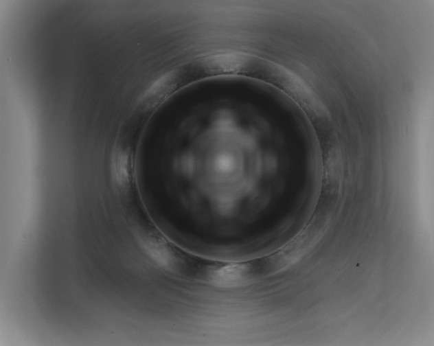 X0000111940122200908101210