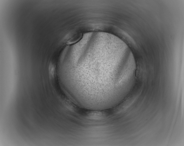 X0000111940123200908101210