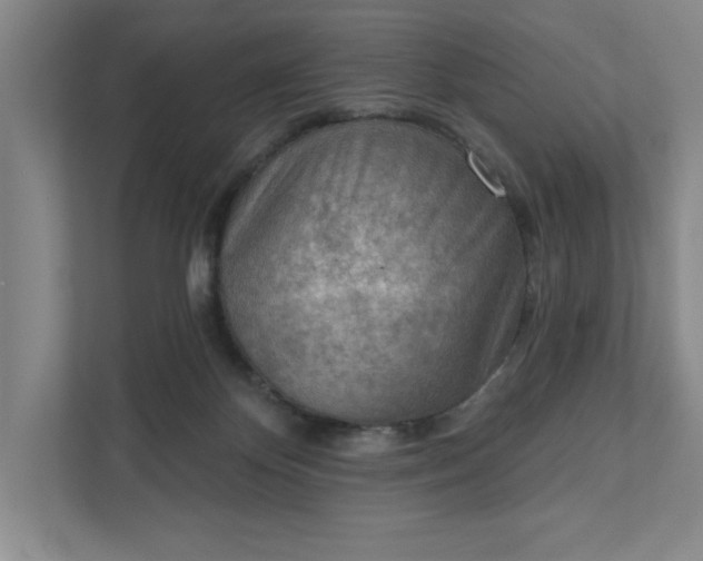 X0000111940124200908101210