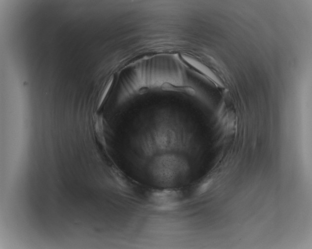 X0000111940125200908101210