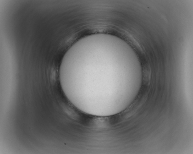 X0000111940126200908101210