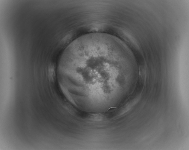 X0000111940127200908101210