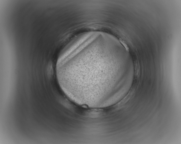 X0000111940128200908101210