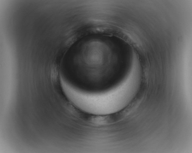 X0000111940129200908101210