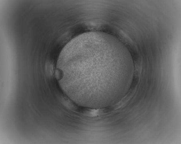 X0000111940130200908101210