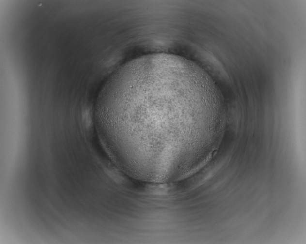 X0000111940131200908101210