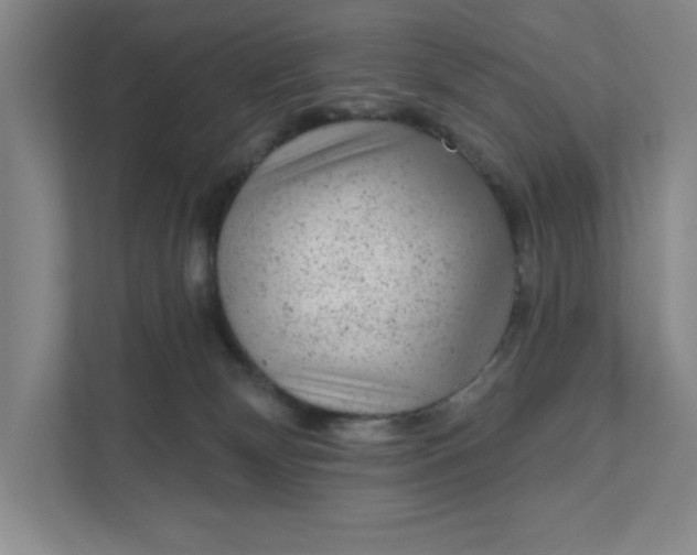 X0000111940132200908101210