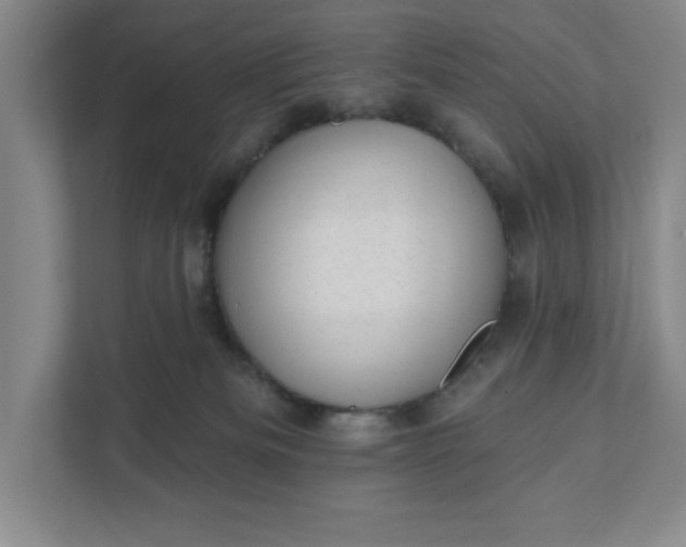 X0000111940133200908101210