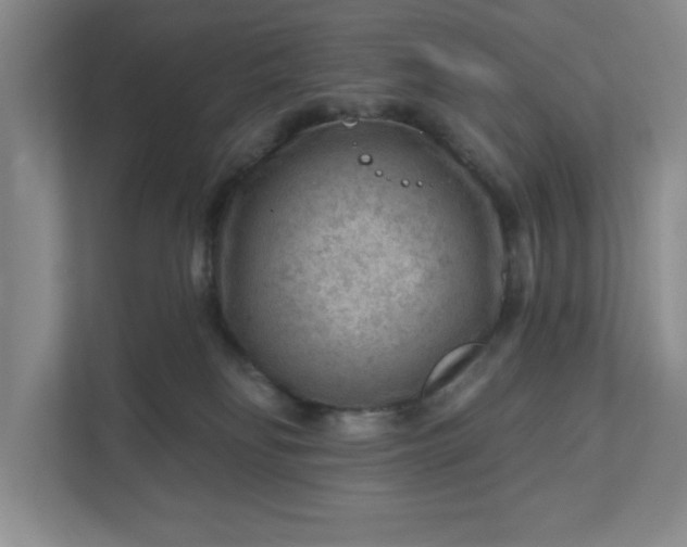 X0000111940134200908101210