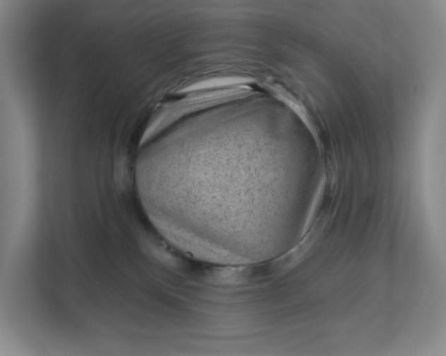 X0000111940136200908101210