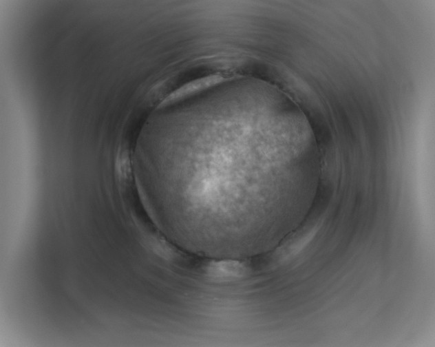 X0000111940137200908101210