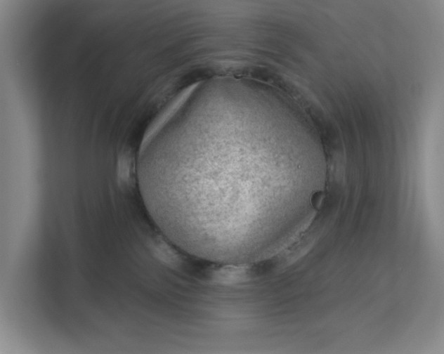 X0000111940138200908101210