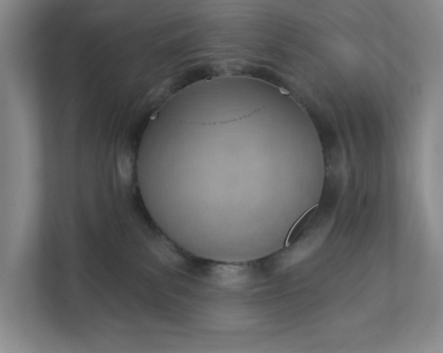 X0000111940139200908101210