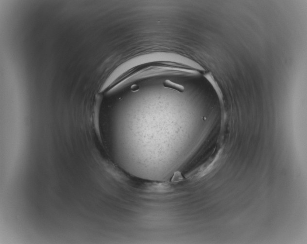 X0000111940140200908101210