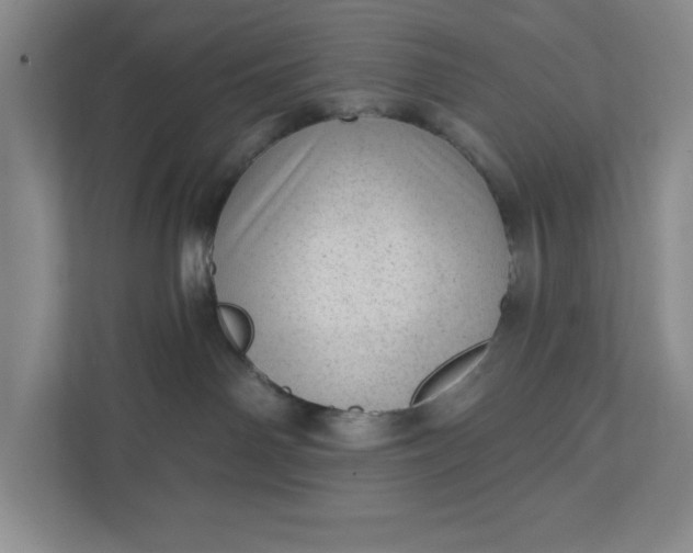 X0000111940142200908101210