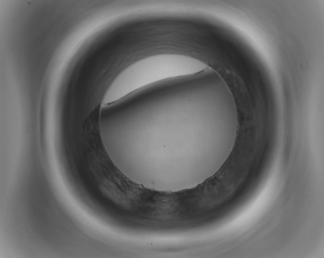 X0000111940143200908101210