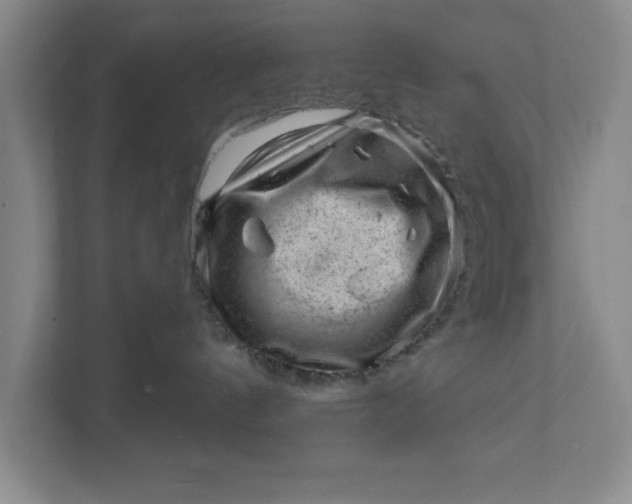 X0000111940144200908101210